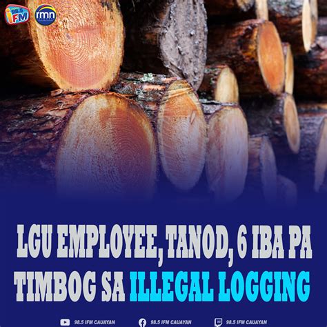 lgu|Iba pa.